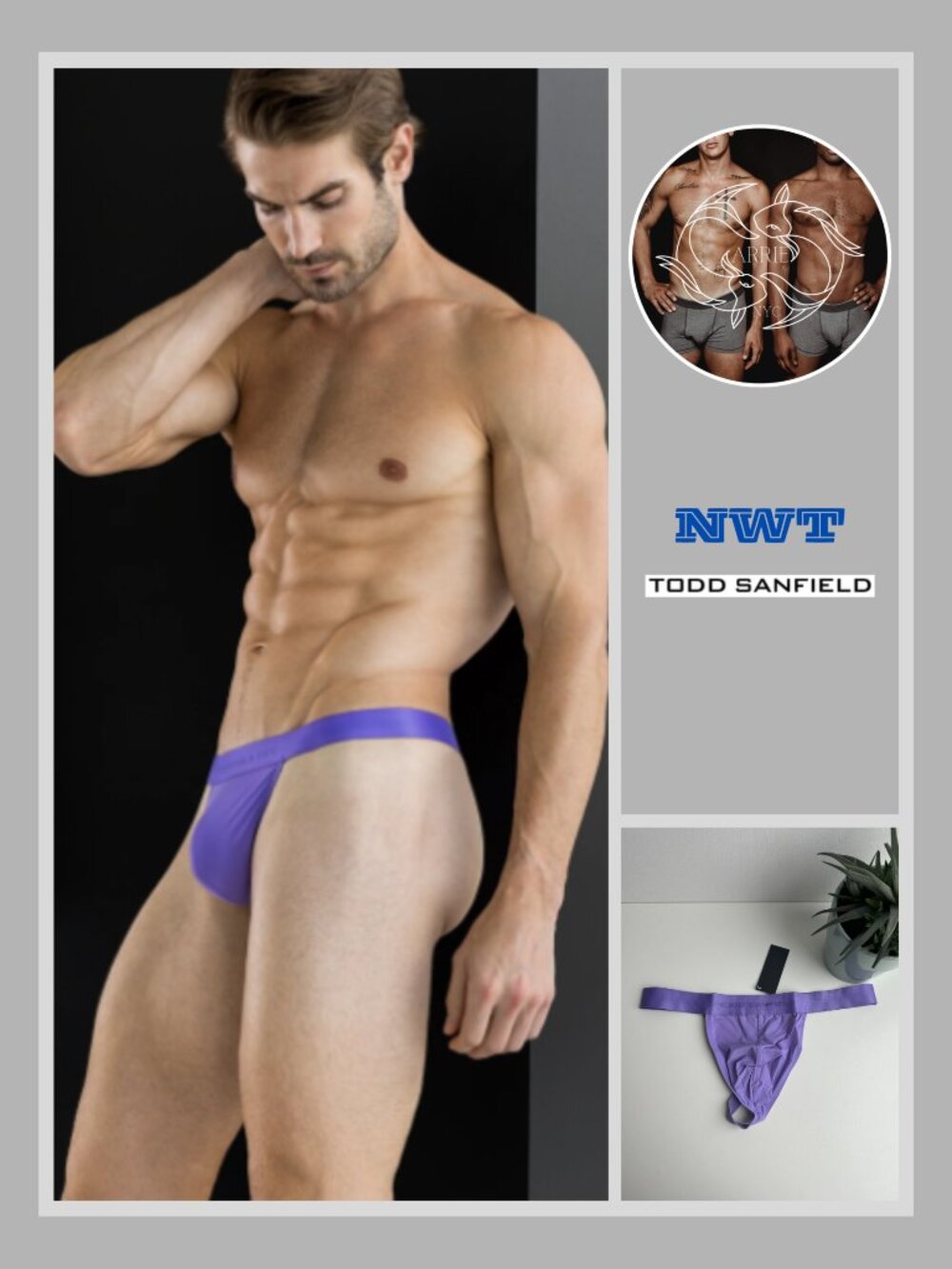 Todd Sanfield - Defiant Thong - Haze Purple (M)